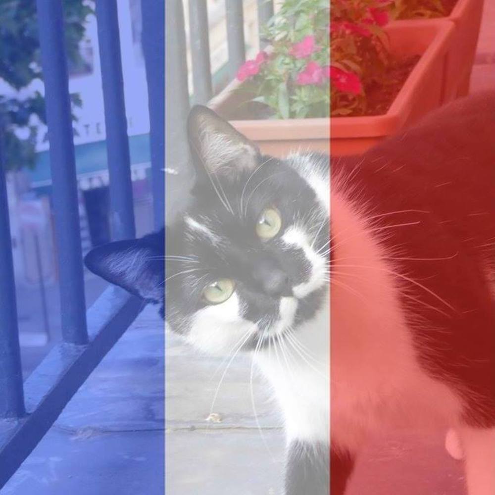 Meet your Posher, Linda